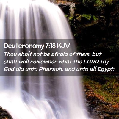 Deuteronomy 7:18 KJV Free Bible Images