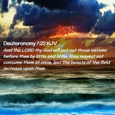 Deuteronomy 7:22 KJV Free Bible Images