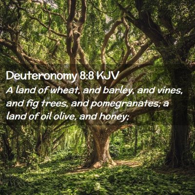 Deuteronomy 8:8 KJV Free Bible Images