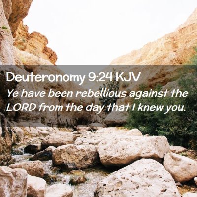 Deuteronomy 9:24 KJV Free Bible Images