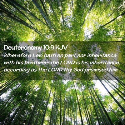 Deuteronomy 10:9 KJV Free Bible Images