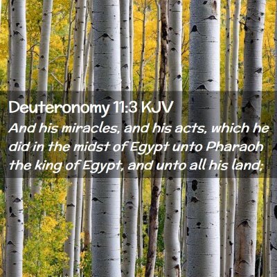 Deuteronomy 11:3 KJV Free Bible Images