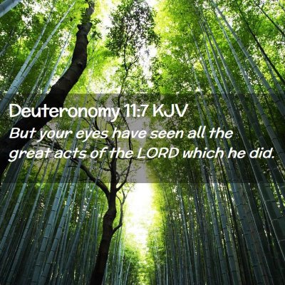 Deuteronomy 11:7 KJV Free Bible Images