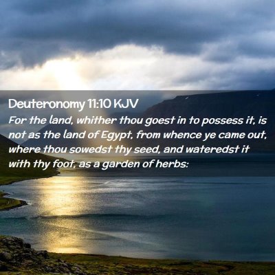 Deuteronomy 11:10 KJV Free Bible Images