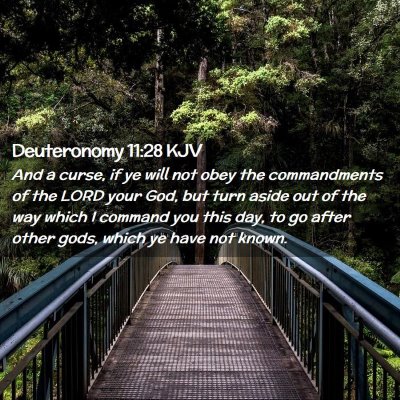 Deuteronomy 11:28 KJV Free Bible Images