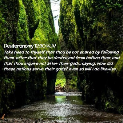 Deuteronomy 12:30 KJV Free Bible Images