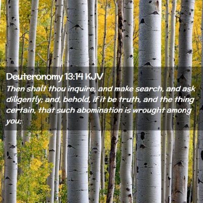 Deuteronomy 13:14 KJV Free Bible Images