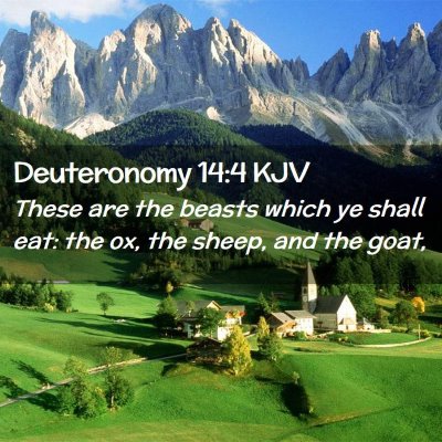 Deuteronomy 14:4 KJV Free Bible Images