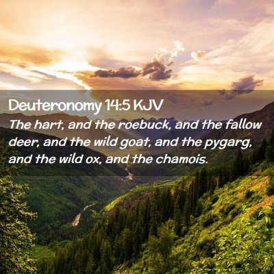 Deuteronomy 14:5 KJV Free Bible Images