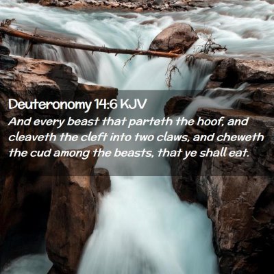 Deuteronomy 14:6 KJV Free Bible Images