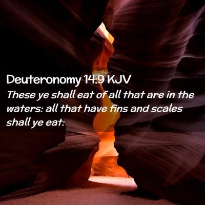 Deuteronomy 14:9 KJV Free Bible Images