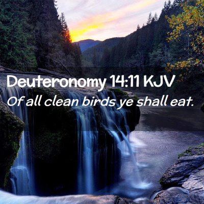 Deuteronomy 14:11 KJV Free Bible Images