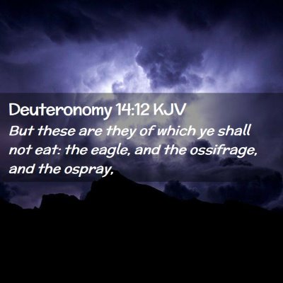 Deuteronomy 14:12 KJV Free Bible Images