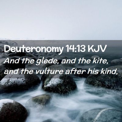 Deuteronomy 14:13 KJV Free Bible Images