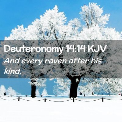 Deuteronomy 14:14 KJV Free Bible Images