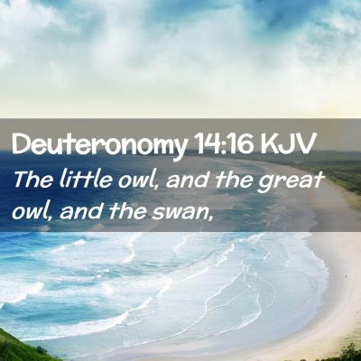 Deuteronomy 14:16 KJV Free Bible Images