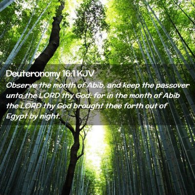 Deuteronomy 16:1 KJV Free Bible Images