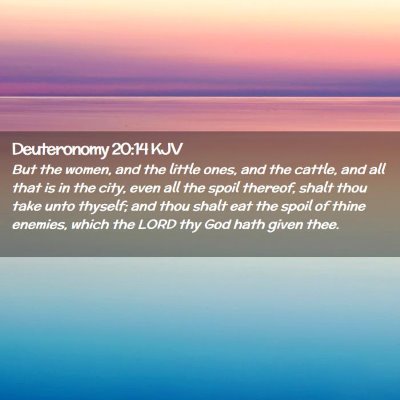 Deuteronomy 20:14 KJV Free Bible Images