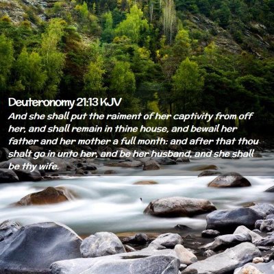 Deuteronomy 21:13 KJV Free Bible Images