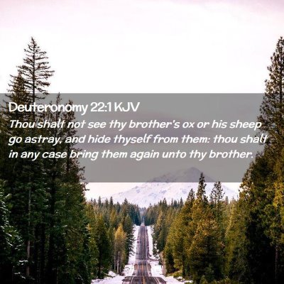 Deuteronomy 22:1 KJV Free Bible Images