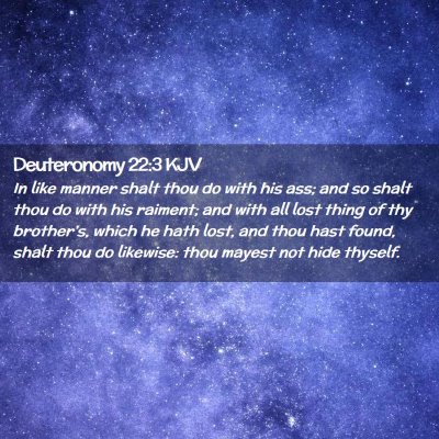 Deuteronomy 22:3 KJV Free Bible Images