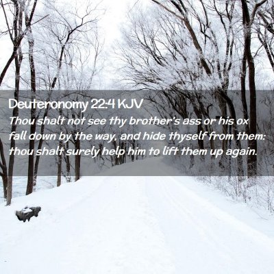 Deuteronomy 22:4 KJV Free Bible Images