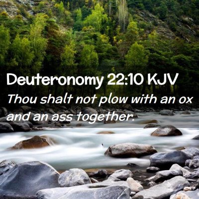 Deuteronomy 22:10 KJV Free Bible Images