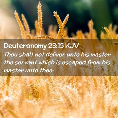 Deuteronomy 23:15 KJV Free Bible Images