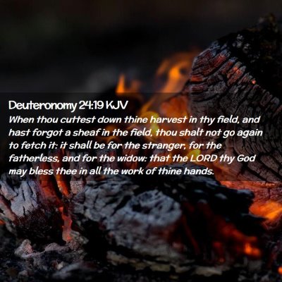 Deuteronomy 24:19 KJV Free Bible Images