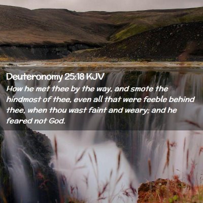 Deuteronomy 25:18 KJV Free Bible Images