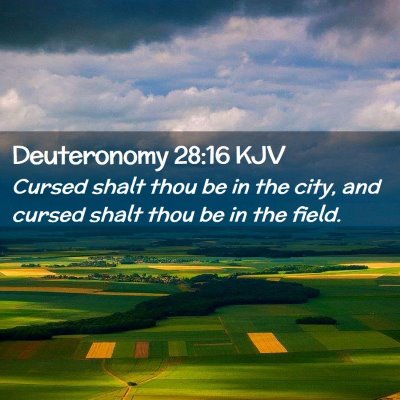 Deuteronomy 28:16 KJV Free Bible Images