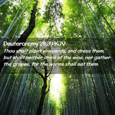 Deuteronomy 28:39 KJV Free Bible Images