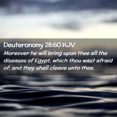 Deuteronomy 28:60 KJV Free Bible Images