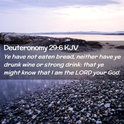 Deuteronomy 29:6 KJV Free Bible Images