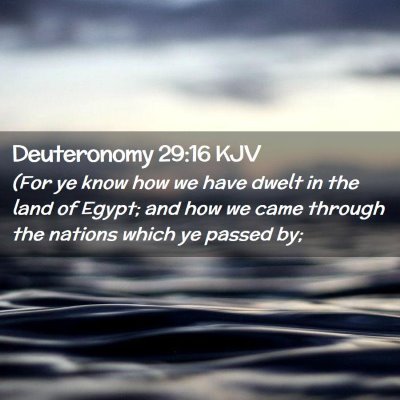 Deuteronomy 29:16 KJV Free Bible Images