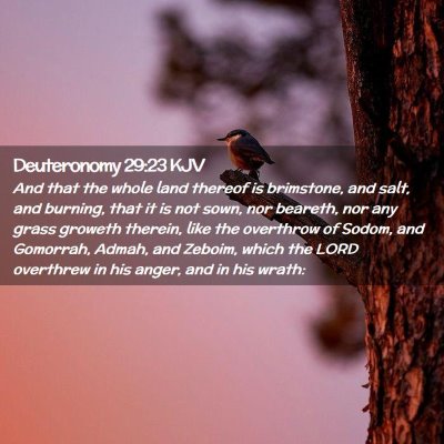 Deuteronomy 29:23 KJV Free Bible Images