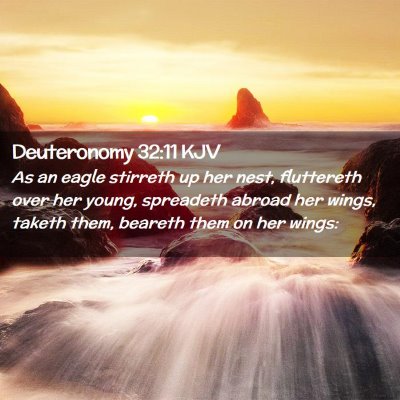 Deuteronomy 32:11 KJV Free Bible Images