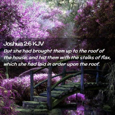 Joshua 2:6 KJV Free Bible Images