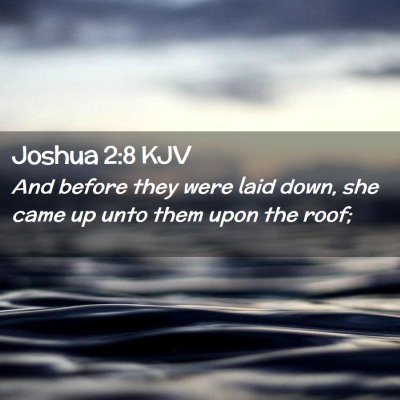 Joshua 2:8 KJV Free Bible Images