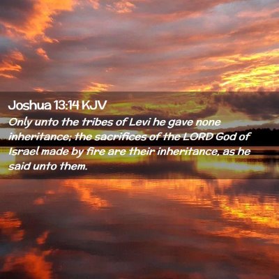 Joshua 13:14 KJV Free Bible Images