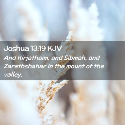 Joshua 13:19 KJV Free Bible Images