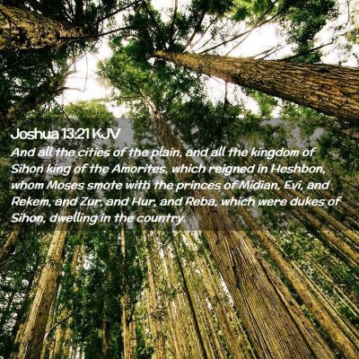 Joshua 13:21 KJV Free Bible Images