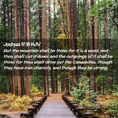 Joshua 17:18 KJV Free Bible Images