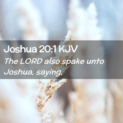 Joshua 20:1 KJV Free Bible Images