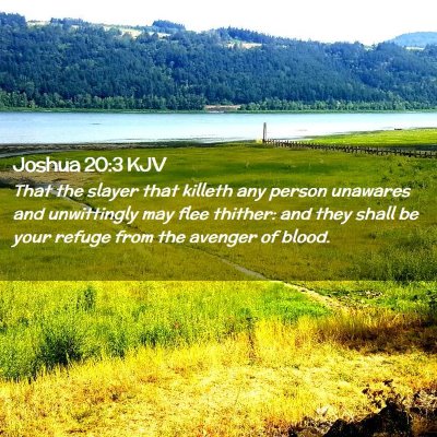 Joshua 20:3 KJV Free Bible Images