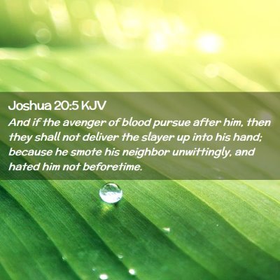 Joshua 20:5 KJV Free Bible Images