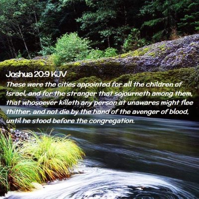 Joshua 20:9 KJV Free Bible Images