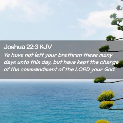 Joshua 22:3 KJV Free Bible Images