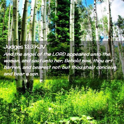 Judges 13:3 KJV Free Bible Images