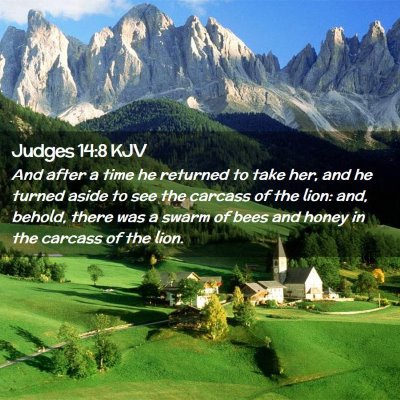 Judges 14:8 KJV Free Bible Images